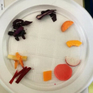 Verdure fermentate e i corrispettivi "in purezza" durante una fase della ricerca per la tesi sugli alimenti fermentati